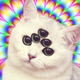 Illustration for article titled Its Like Taking Drugs and Looking at Cats
